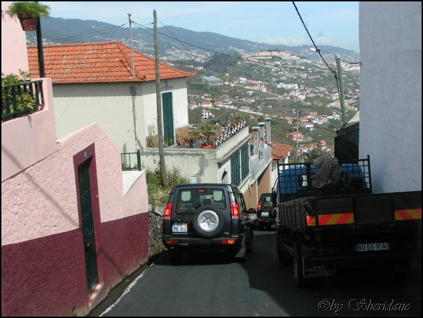 Madeira017.jpg
