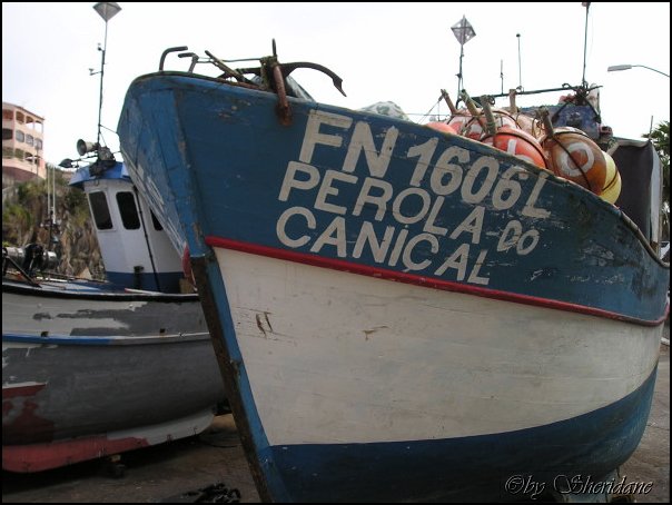 Madeira022.jpg