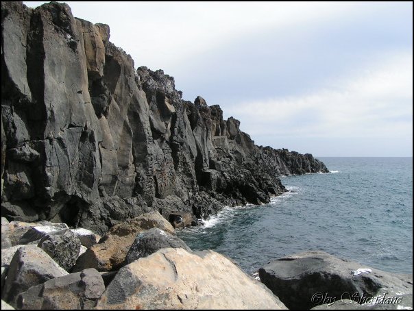 Madeira025.jpg