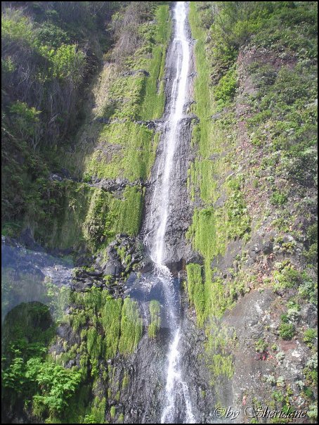Madeira042.jpg