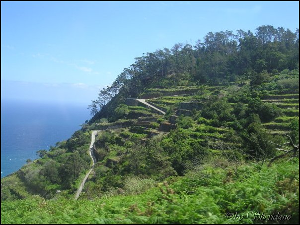 Madeira047.jpg