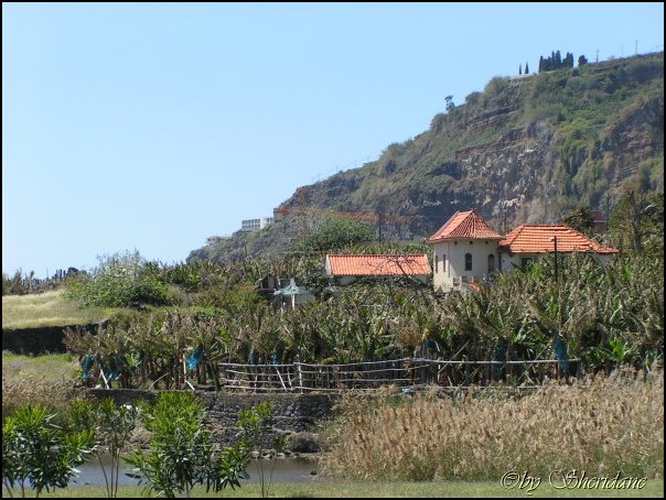 Madeira052.jpg