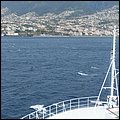 Madeira004.jpg