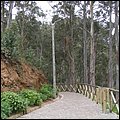 Madeira008.jpg