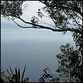 Madeira014.jpg