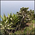 Madeira015.jpg