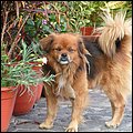 Madeira026.jpg