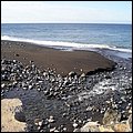 Madeira040.jpg
