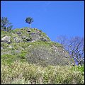 Madeira041.jpg
