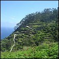 Madeira047.jpg
