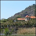 Madeira052.jpg
