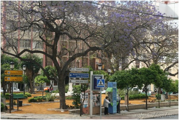 Malaga006.jpg