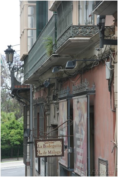 Malaga010.jpg