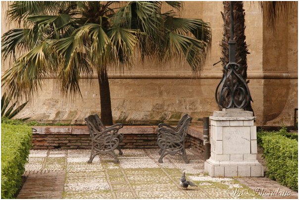 Malaga016.jpg