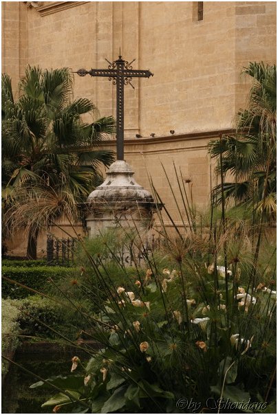 Malaga017.jpg