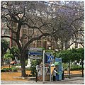 Malaga006.jpg