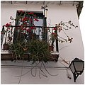 Malaga022.jpg