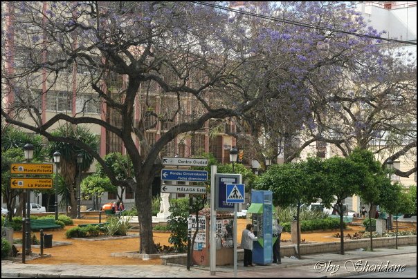 Malaga006.jpg