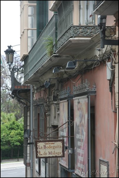 Malaga010.jpg