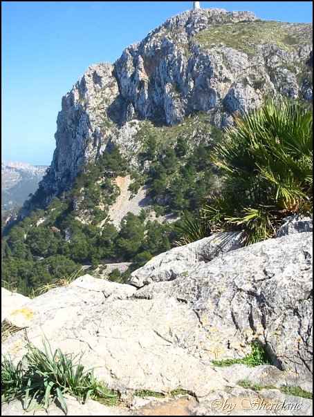 Mallorca0505.jpg
