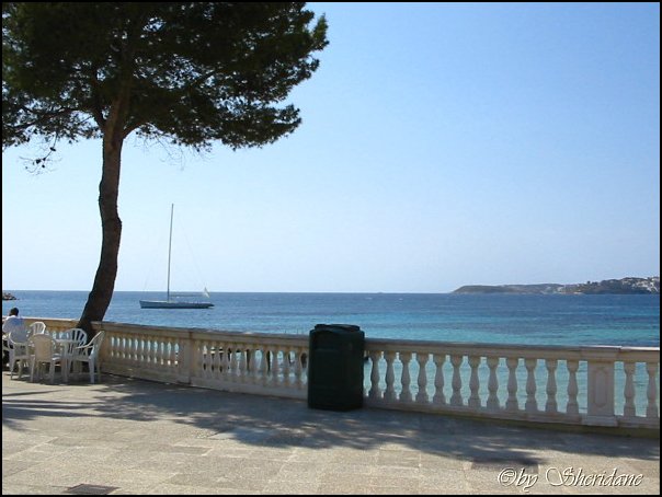 Mallorca0508.jpg