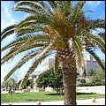 Mallorca0486.jpg