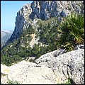 Mallorca0505.jpg