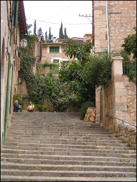 Mallorca0448.jpg