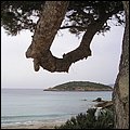 Mallorca0435.jpg