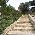 Mallorca0438.jpg