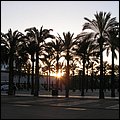 Mallorca0292.jpg