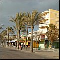 Mallorca0335.jpg