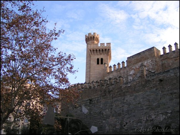 Mallorca0221.jpg