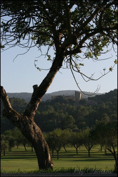 Mallorca0092.jpg