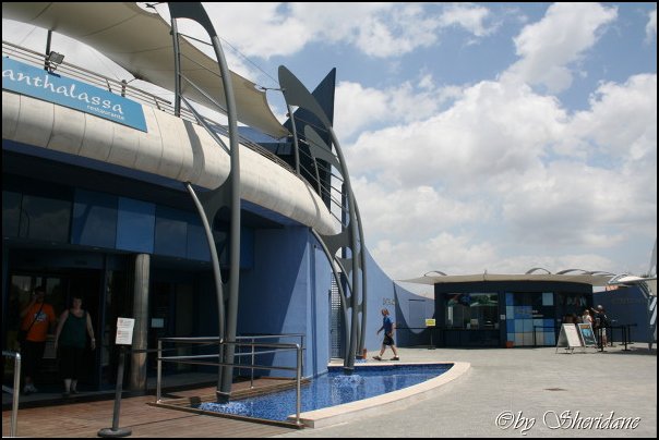 Mallorca0093.jpg