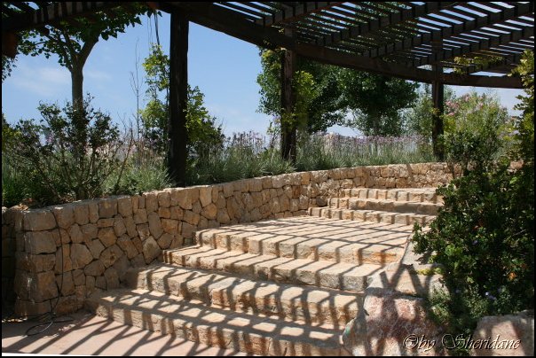 Mallorca0096.jpg