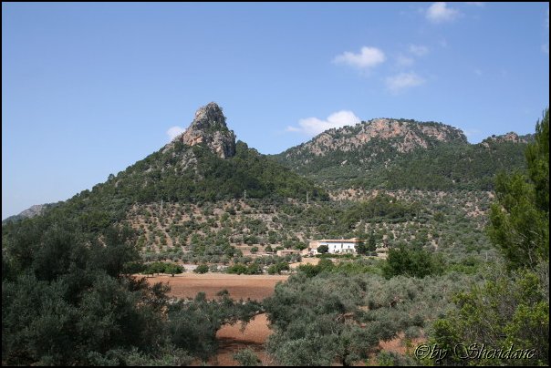 Mallorca0107.jpg
