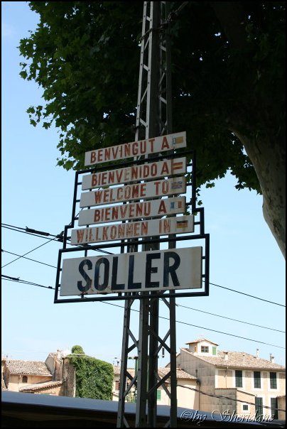 Mallorca0110.jpg