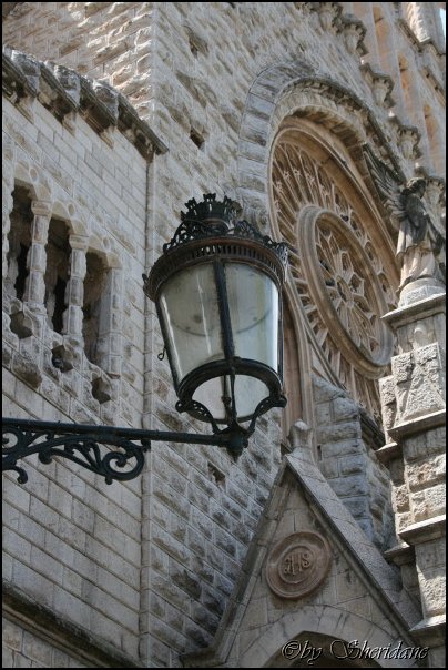 Mallorca0112.jpg