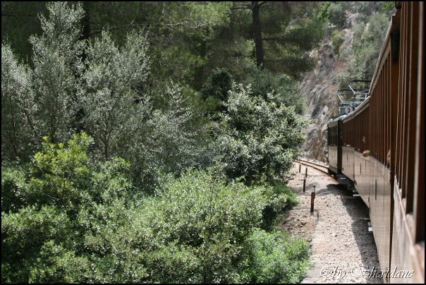 Mallorca0120.jpg