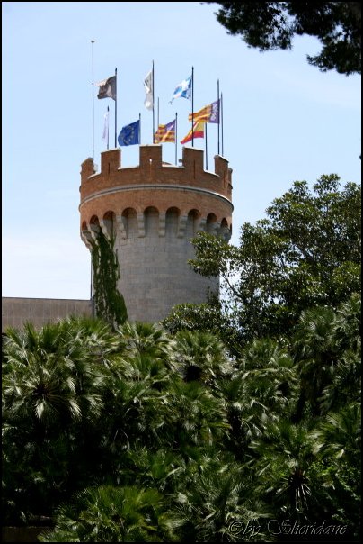 Mallorca0123.jpg