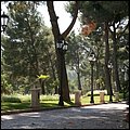 Mallorca0089.jpg