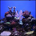 Mallorca0094.jpg