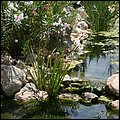 Mallorca0098.jpg