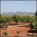 Mallorca0104.jpg