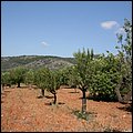 Mallorca0105.jpg