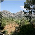 Mallorca0106.jpg