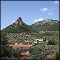 Mallorca0107.jpg