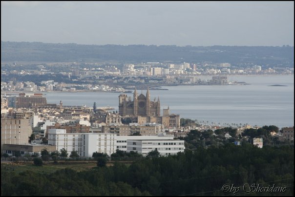 Mallorca0173.jpg
