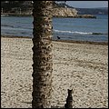 Mallorca0012.jpg